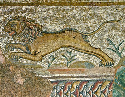 Jaktscene, detalj av en løve, House of Dionysos, Paphos, Kypros mosaikk av Roman