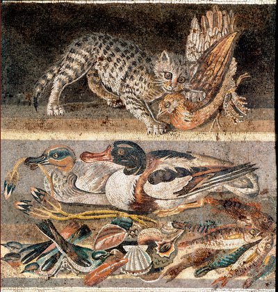 Romersk kunst: katt som spiser en rapphøne og villender Første halvdel av 1. f.Kr.) Roma, Museo Nazionale Romano av Roman