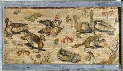 Romersk kunst: and, frosk og vannliljer i en dam. Mosaikk fra faunavillaen i Pompei. 1. århundre. Dim. 132x164 cm. Museo Archeologico Nazionale, Napoli av Roman