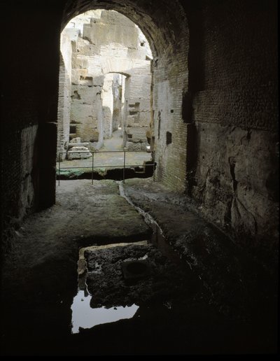 Romersk kunst: utsikt over de underjordiske passasjene til Colisee (Colosseo) i Roma, Italia av Roman