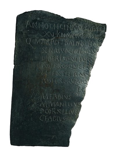 Sykehusstyret av Roman