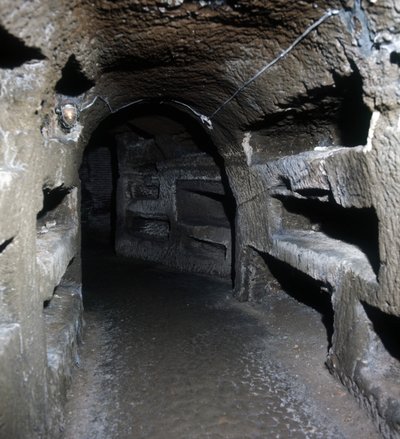 Scipionis grav i Roma. av Roman