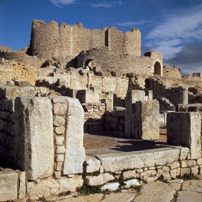 Utsikt over de liciniske badene av Roman