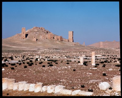 Utsikt over tårngravene til Iamblichus og Elahbel (fotografi) av Roman