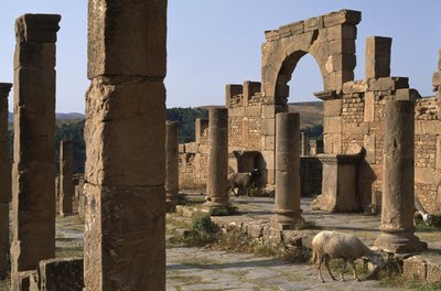Cardo og inntreden av Cosinius Market, High Imperial Period (27 BC-395 AD) av Roman Imperial Period