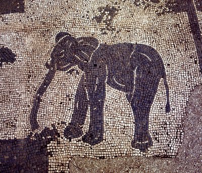 Gamle Ostia (Ostia). Place des Corporations. Mosaikk av Sabratha Seafarers Corporation. av Roman Roman