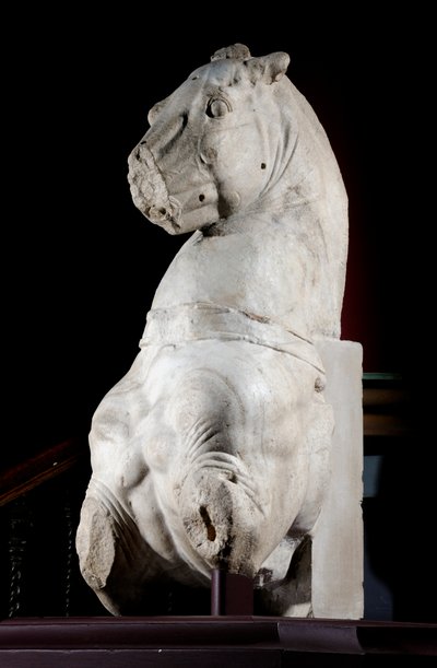 Fremre del av en hest (marmor) (se også 371182 og 371184) av Roman Roman