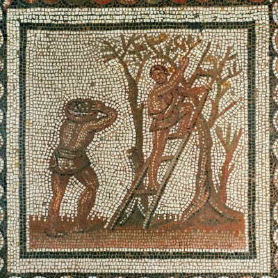 Olivenhøsting (mosaikk) av Roman Roman