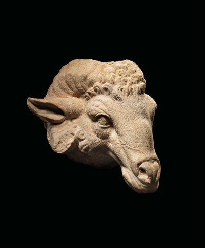 Hodet til en ram, ca. 1. århundre f.Kr. - 1. århundre e.Kr. (marmor) av Roman Roman