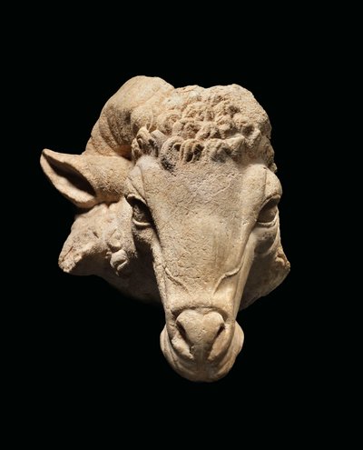 Hodet til en ram, ca. 1. århundre f.Kr. - 1. århundre e.Kr. (marmor) av Roman Roman