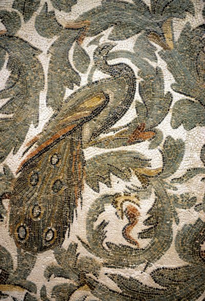 Påfugl, detalj av mosaikk - 4. århundre e.Kr., Bardo-museet, Tunis av Roman Roman