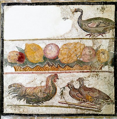 Romersk kunst: mosaikk som representerer høner, gås, fjærfe. Roma, Nasjonalt romersk museum - romersk kunst. Dyr og frukt, mosaikk. Nasjonalt romersk museum, Roma, Italia av Roman Roman
