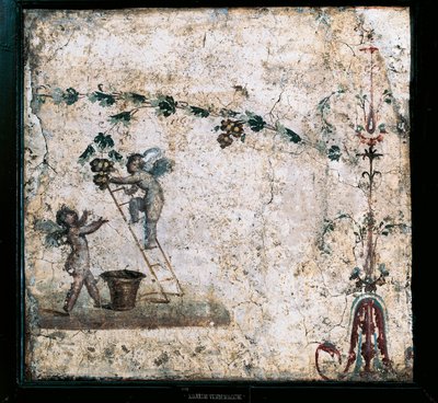 Tredje stilfreskomaleri som viser innhøsting av Cupids, fra House of Marcus Lucretius i Pompeii av Roman Roman