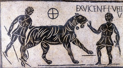 Tigertemmere i veggene til Colosseum - romersk mosaikk av Roman Roman