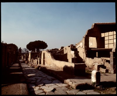 Utsikt over Decumanus Maximus, 5. århundre f.Kr.-1. århundre e.Kr av Roman Roman