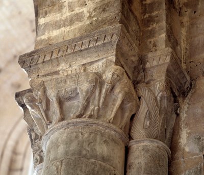 Elefanter (utskåret hovedstad i skipet av Romanesque