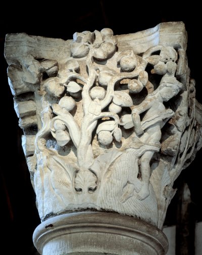 Paradis: et fikentre og et epletre, hovedstaden i koret (skulptur av Romanesque