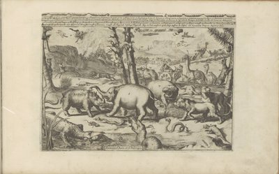 Aziatische en Afrikaanse dieren Aziatische en Afrikaanse dieren / Animals of Asia and Africa (tittel på objekt) Øst- og Vestindia og andre steder (serietittel) av Romeyn de Hooghe