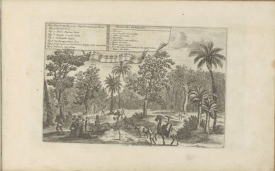 Bomen en specerijen Indiske planter, etc / Indiaensche kruyden, etc (tittel på objekt) Øst- og Vestindia og andre steder (serietittel) av Romeyn de Hooghe