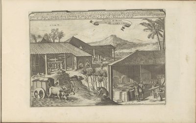 Brasilianske sukkerarbeidere Brasilise Suykerwerken / Sweets from Brasil (tittel på objekt) Øst- og Vestindia og andre steder (serietittel) av Romeyn de Hooghe