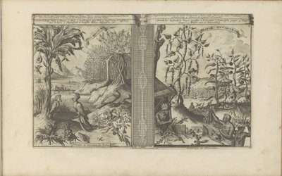 Planten, vogels og pepervelden Loua, Pineapple Musa / Plants and Birds of the Indies // Peeper-Gewassen / Pepper Plantation (tittel på objekt) Øst- og Vestindia og andre steder (serietittel) av Romeyn de Hooghe