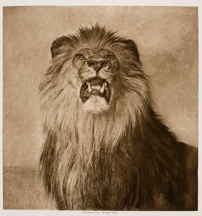 av Rosa Bonheur