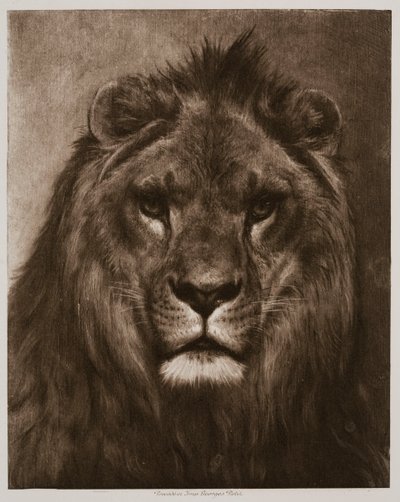  av Rosa Bonheur
