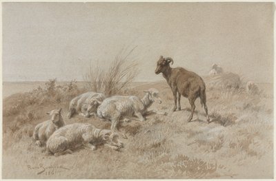 Sau av Rosa Bonheur