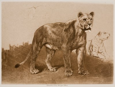 av Rosa Bonheur
