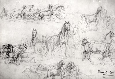 Studie av hester av Rosa Bonheur