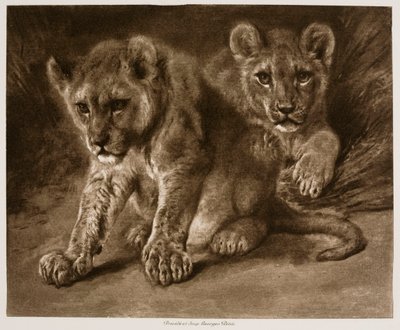  av Rosa Bonheur