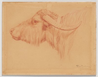  av Rosa Bonheur