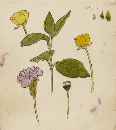 av Rosa Brett