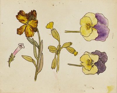  av Rosa Brett