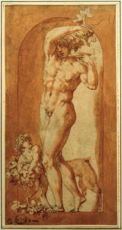 Bacchus i nisje av Rosso Fiorentino