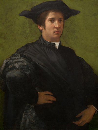 Portrett av en mann, tidlig på 1520-tallet. av Rosso Fiorentino