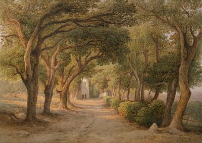 Castel Gandolfo (akvarell på papir) av Rudolf Müller