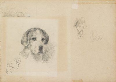 Portrett av en hund: Windsor, 1877 av Rudolf Wimmer