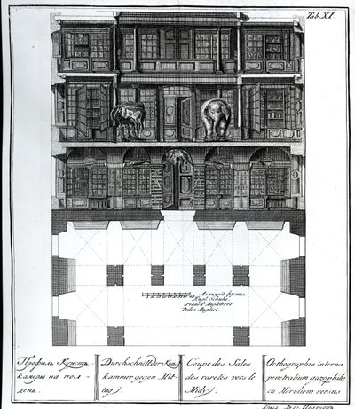 Et utsnitt av Hall of Rarities mot sør, illustrasjon i Chambers of the St. Petersburg Imperial Academy of Sciences Library and Gallery som viser planer, fasader og profiler av Johann av Russian School
