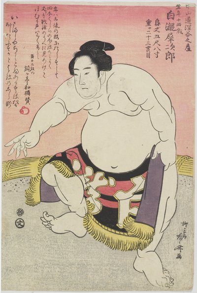 Tesmo _ Wre ster Shirataki Noodles _ av Ryuryukyo Shinsai