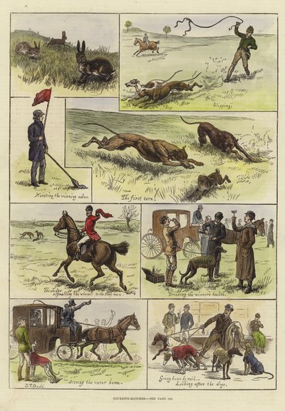 Kurskamper av S.T. Dadd