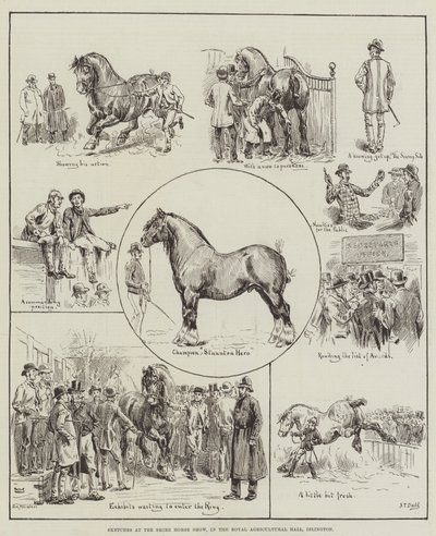 Skisser på Shire Horse Show, i Royal Agricultural Hall, Islington av S.T. Dadd