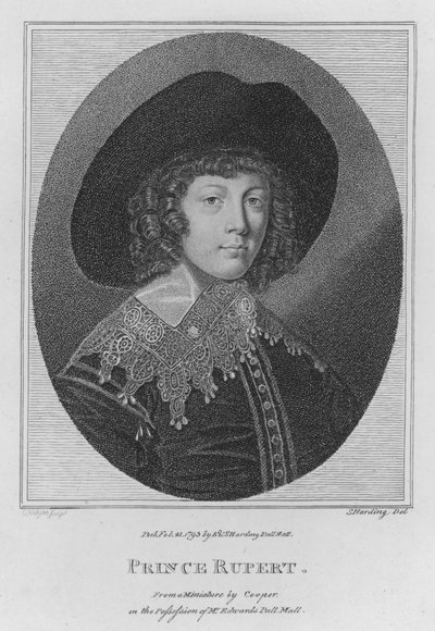 Prins Rupert (gravering) av S. (after) Harding