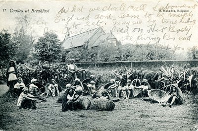 Coolies til frokost, ca. 1908 (s/hvitt-bilde) av S. Mahadeo