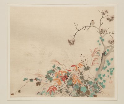Hawk on Plants (treblokktrykk i farger) av Sakai Hoitsu