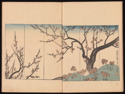  av Sakai Hoitsu