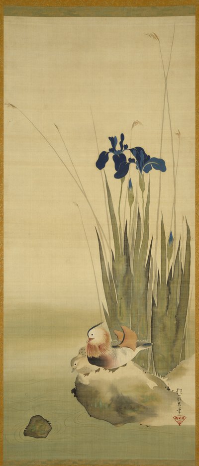 Iris og mandarinender (blekk og farge på silke) av Sakai Hoitsu