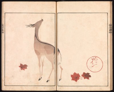  av Sakai Hoitsu