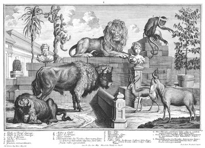 Løve og bisonpar av Salomon Kleiner