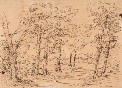Landskap med trær og fjell i bakgrunnen av Salvator Rosa
